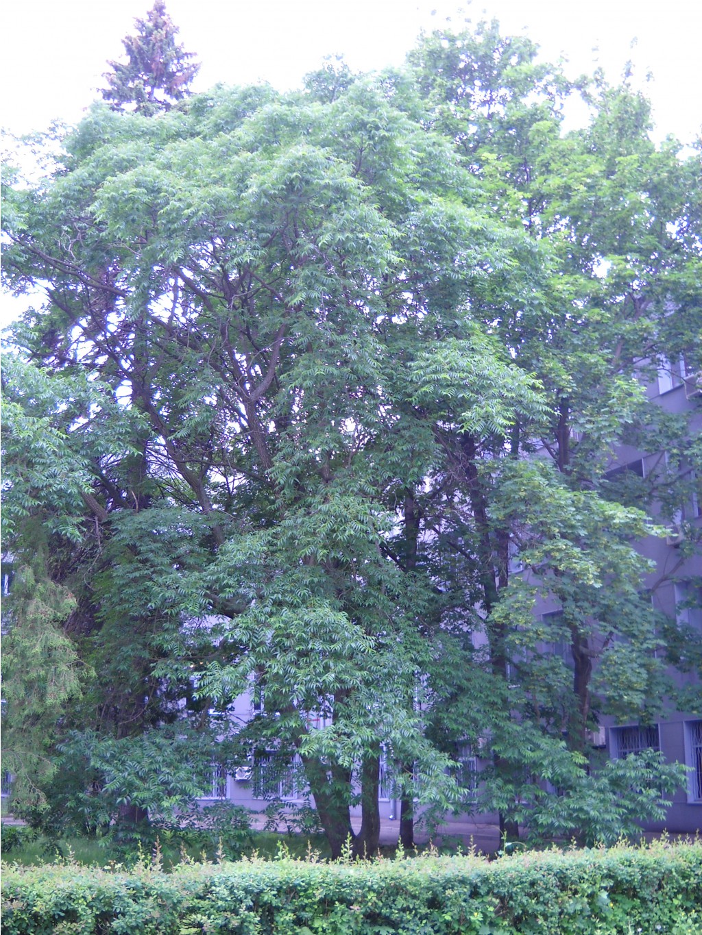 DSCN0385.JPG