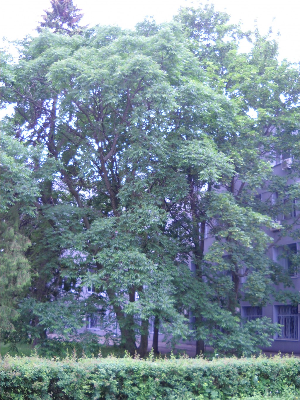 DSCN0386.JPG
