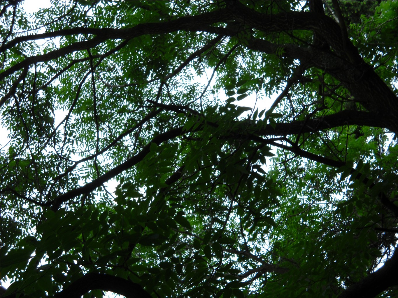 DSCN0377.JPG