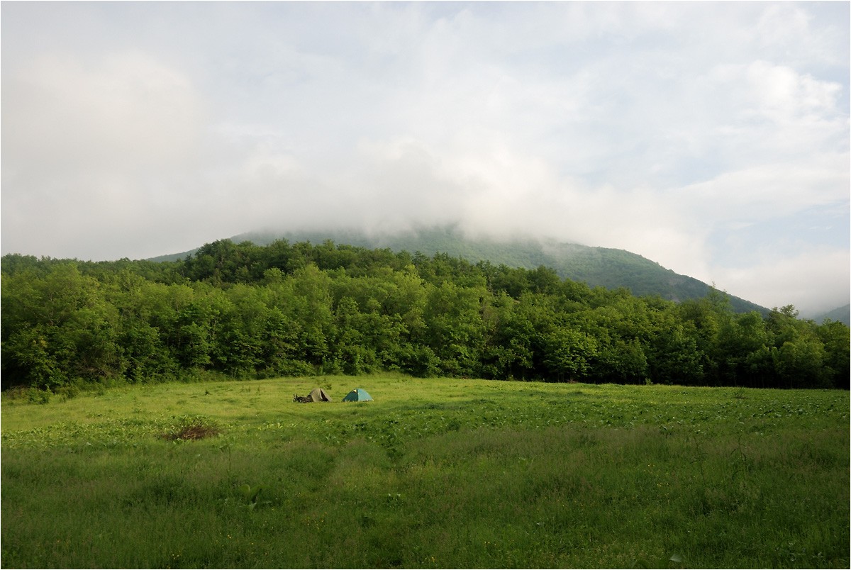 DSC_8224.jpg