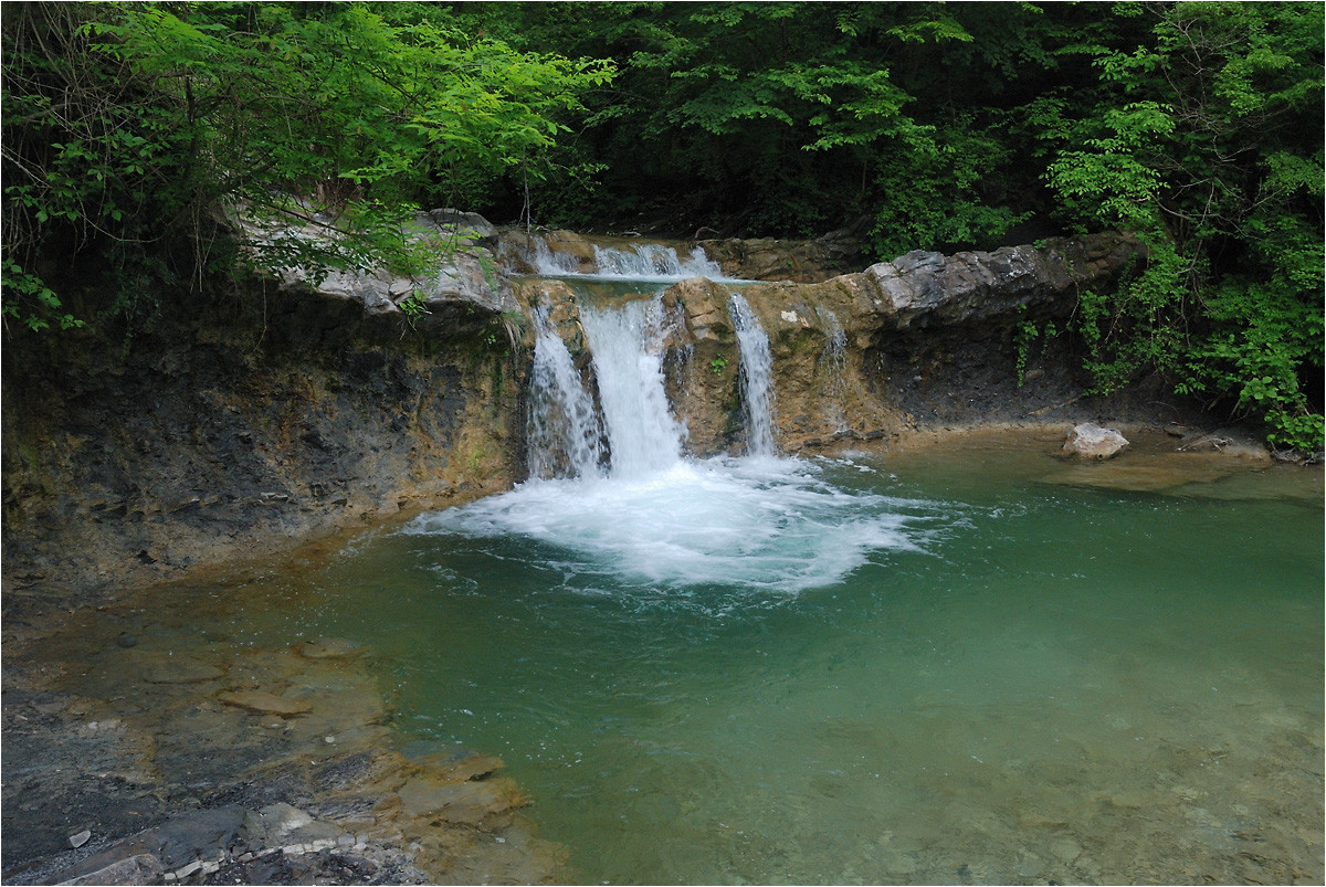 DSC_8268.jpg