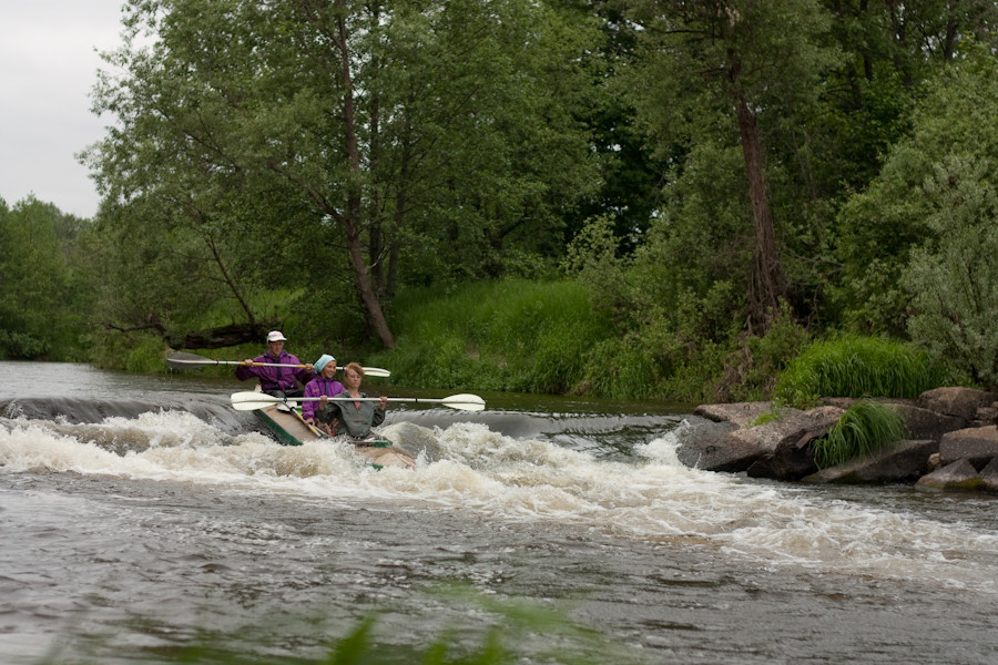 IMG_8396.jpg