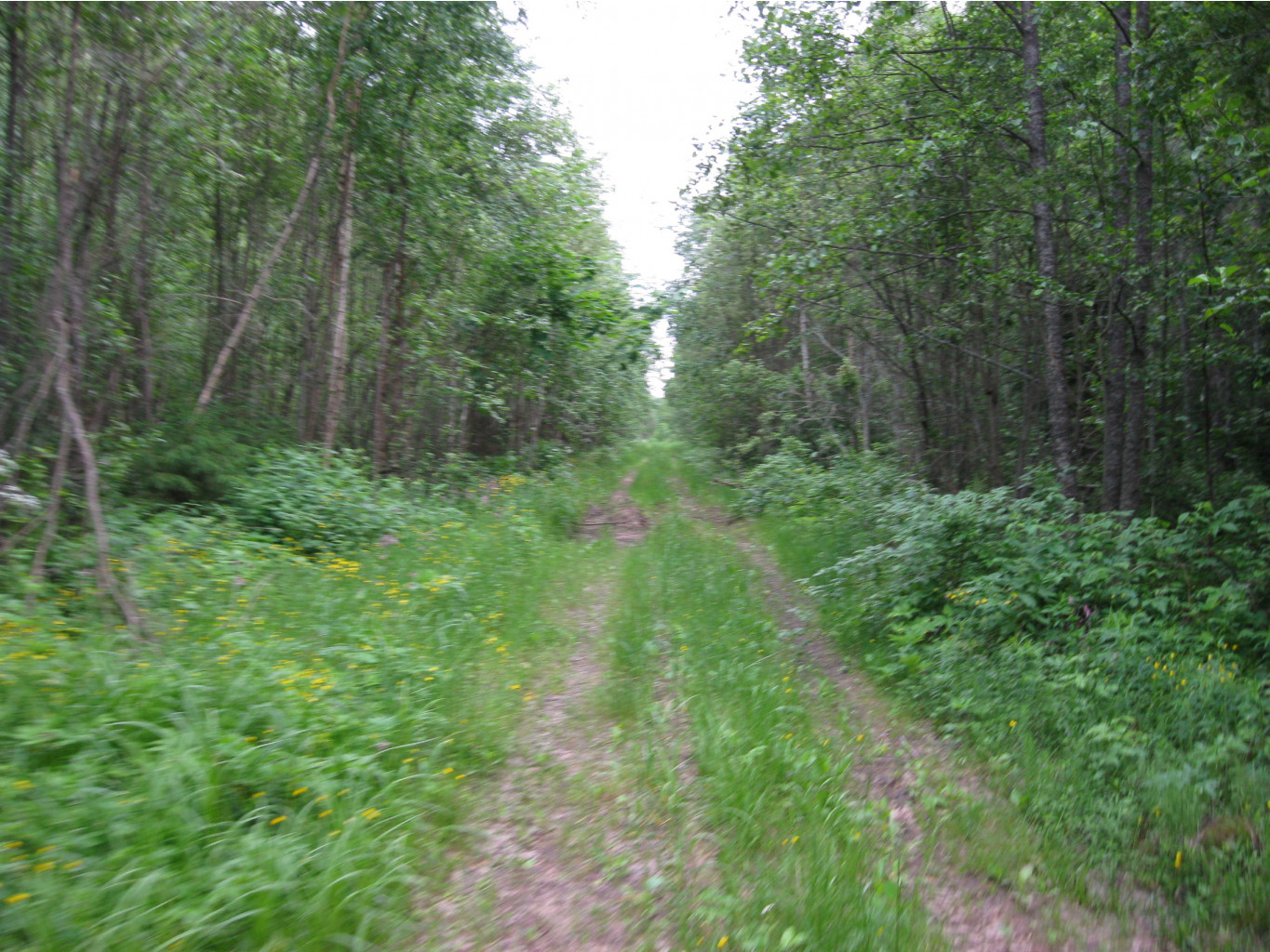 IMG_1543.jpg