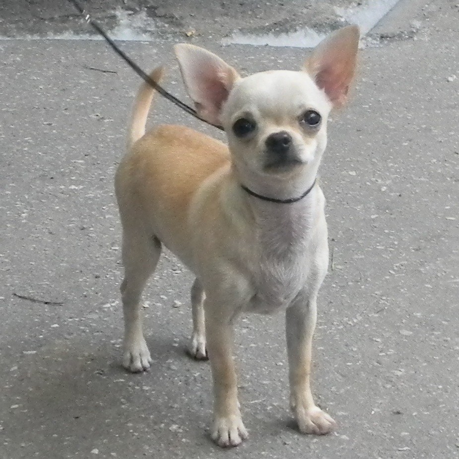 DSCN1589.JPG