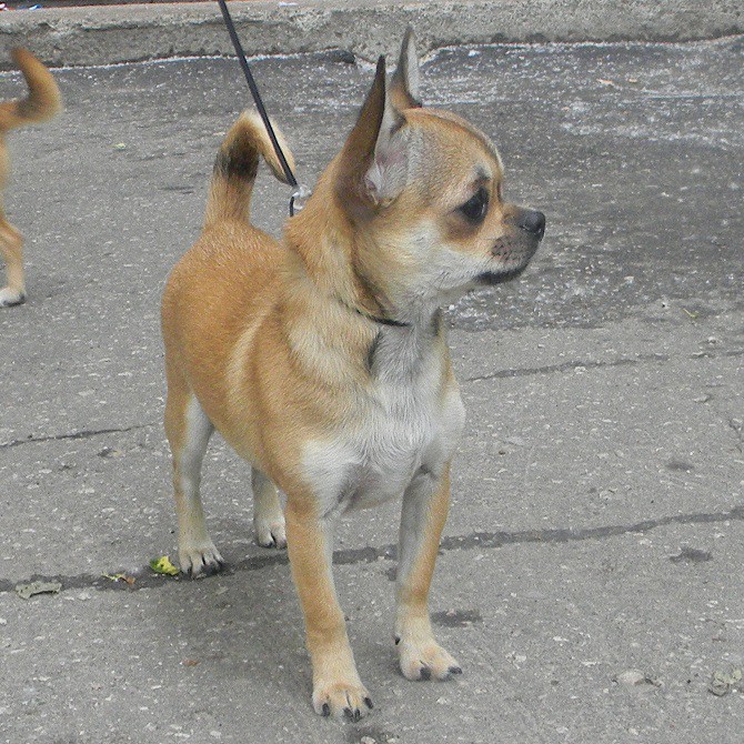 DSCN1583.JPG