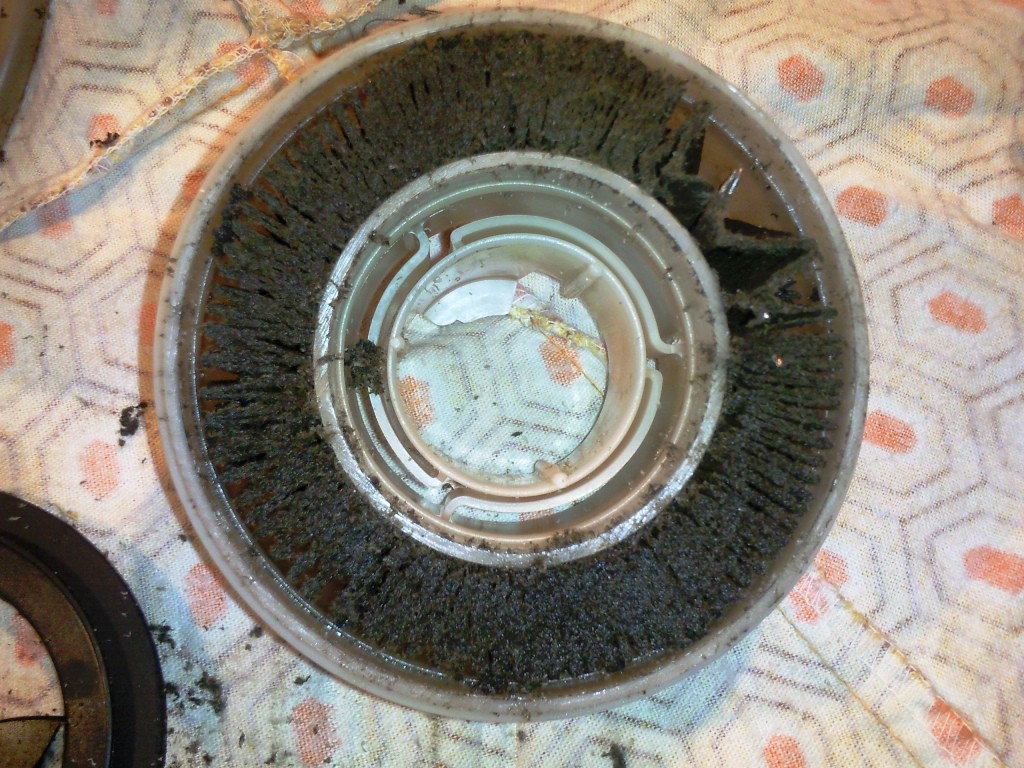 185.jpg