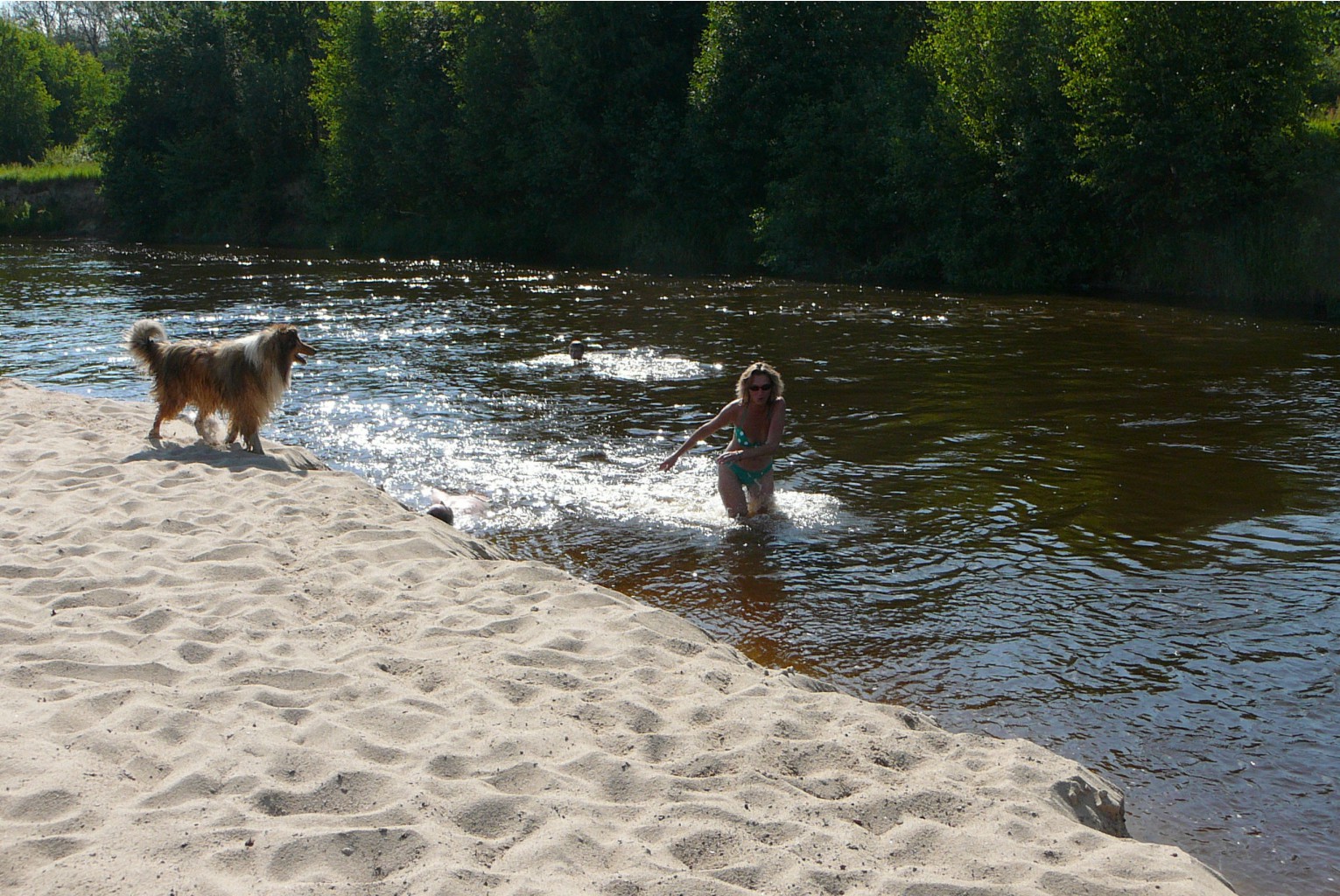 P1180215.JPG