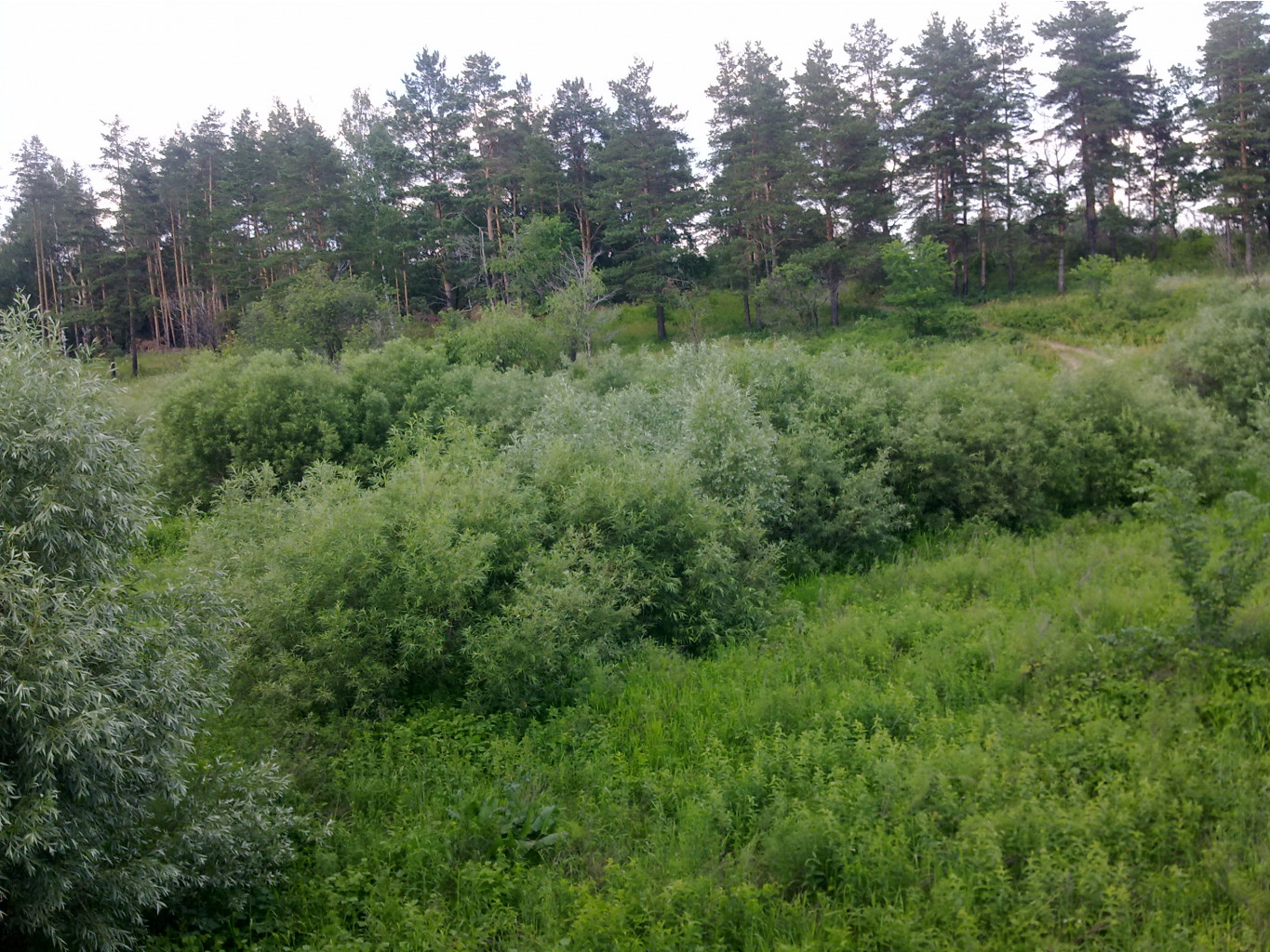 26062011472.jpg