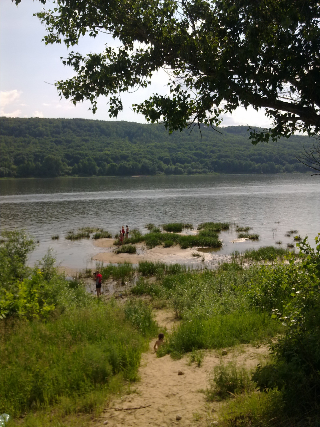 26062011487.jpg