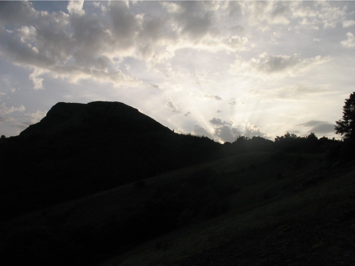 IMG_4328.JPG