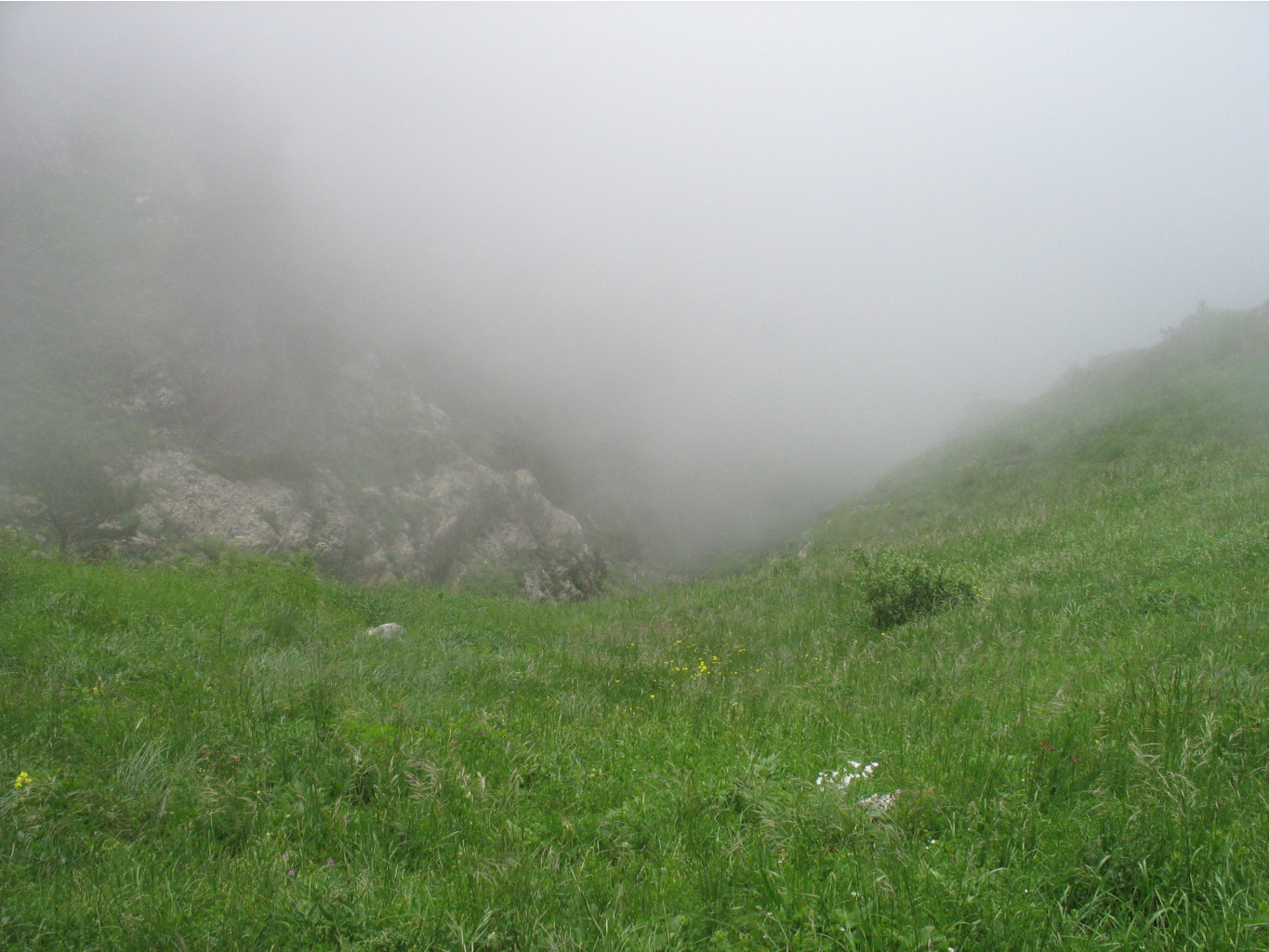 IMG_4474.JPG