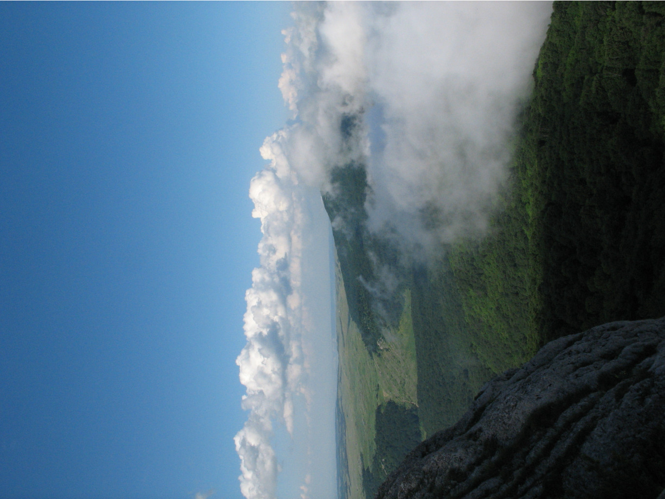 IMG_4635.JPG