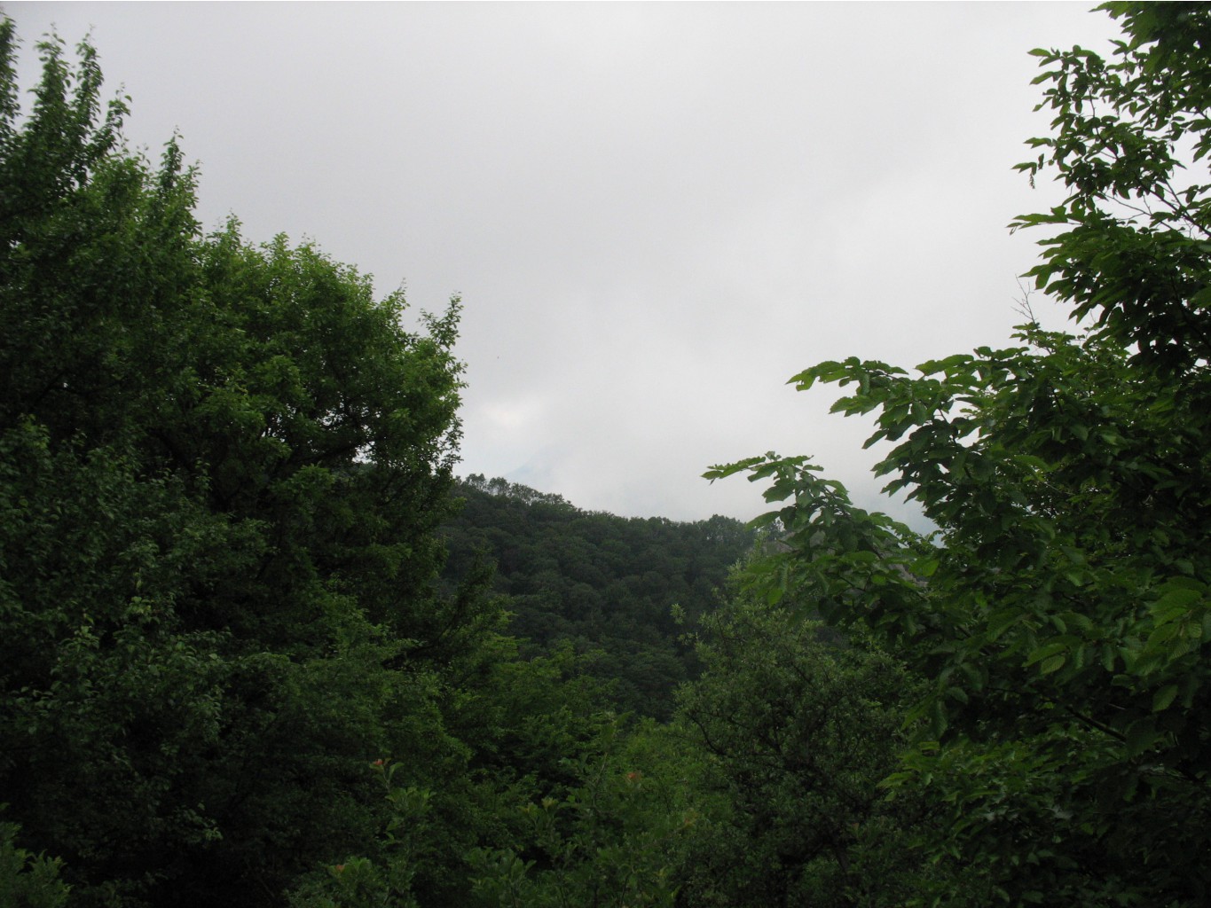 IMG_4683.JPG