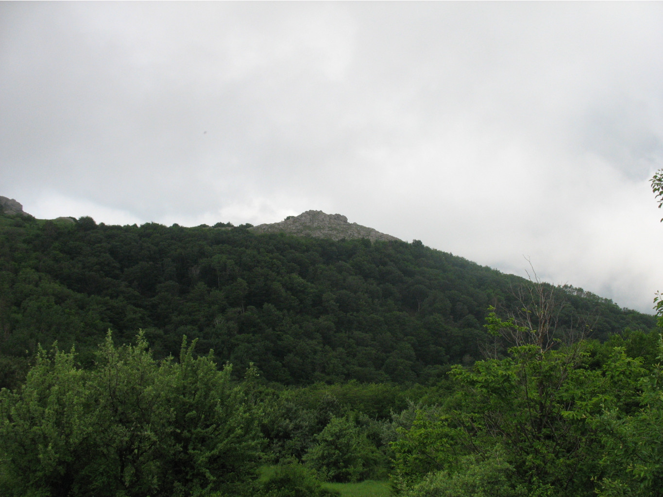 IMG_4688.JPG