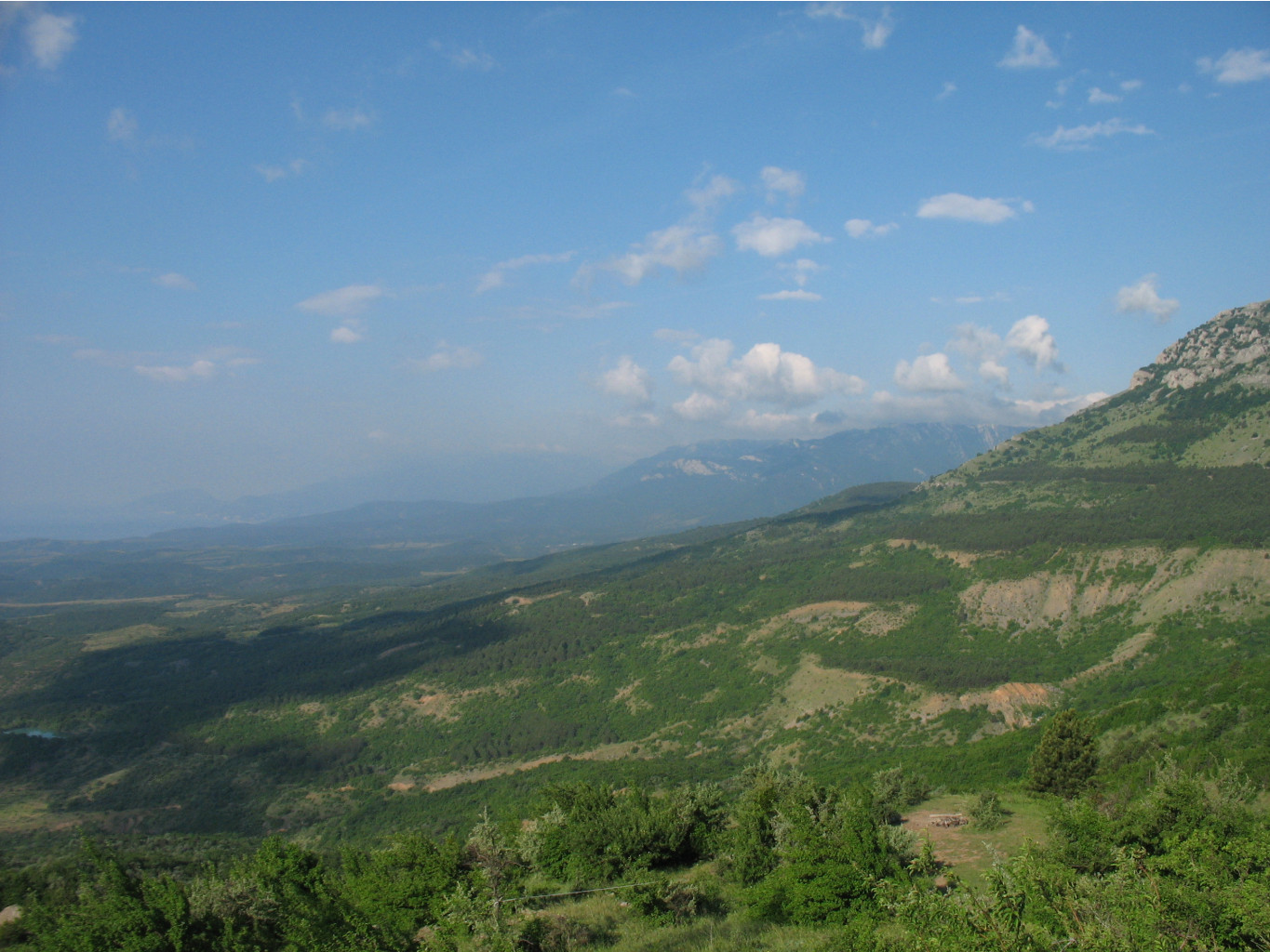 IMG_4876.JPG