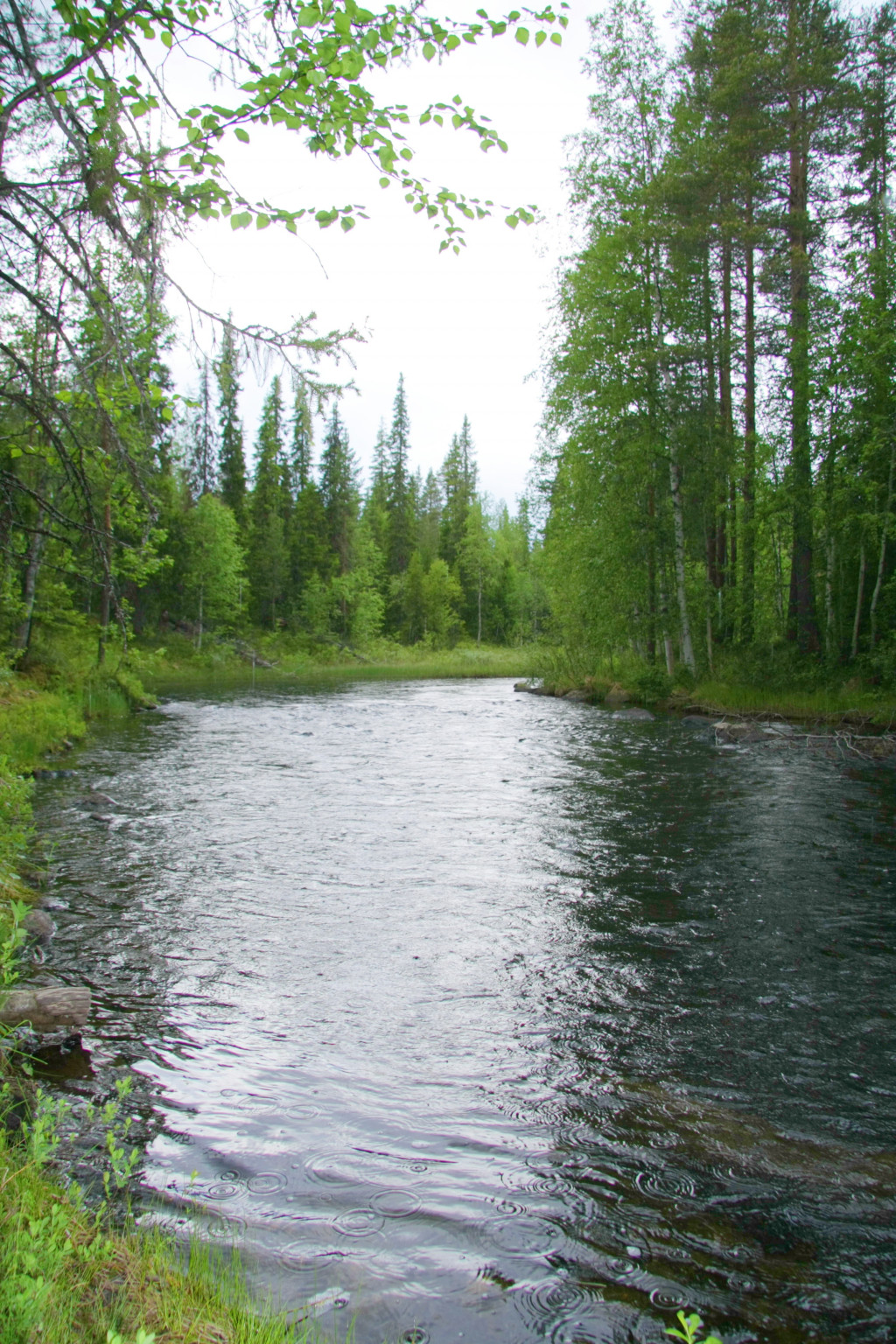 58.jpg