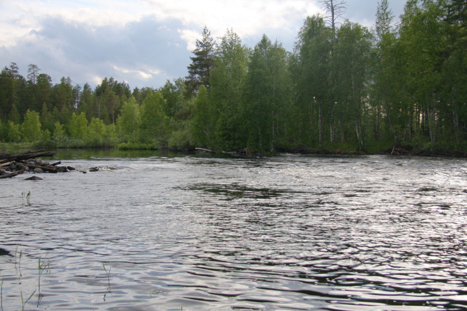 68.jpg