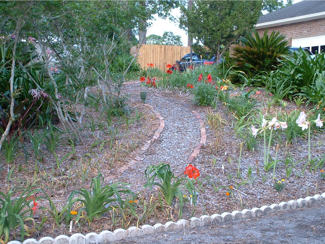 aaaa 2002 04-15 pictures in yard (13).jpg