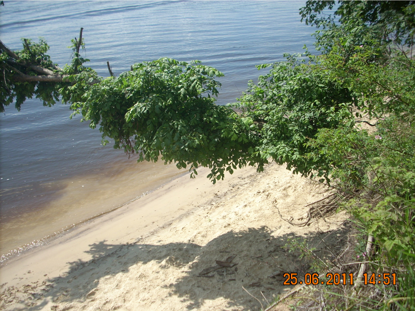 DSCN7188.JPG
