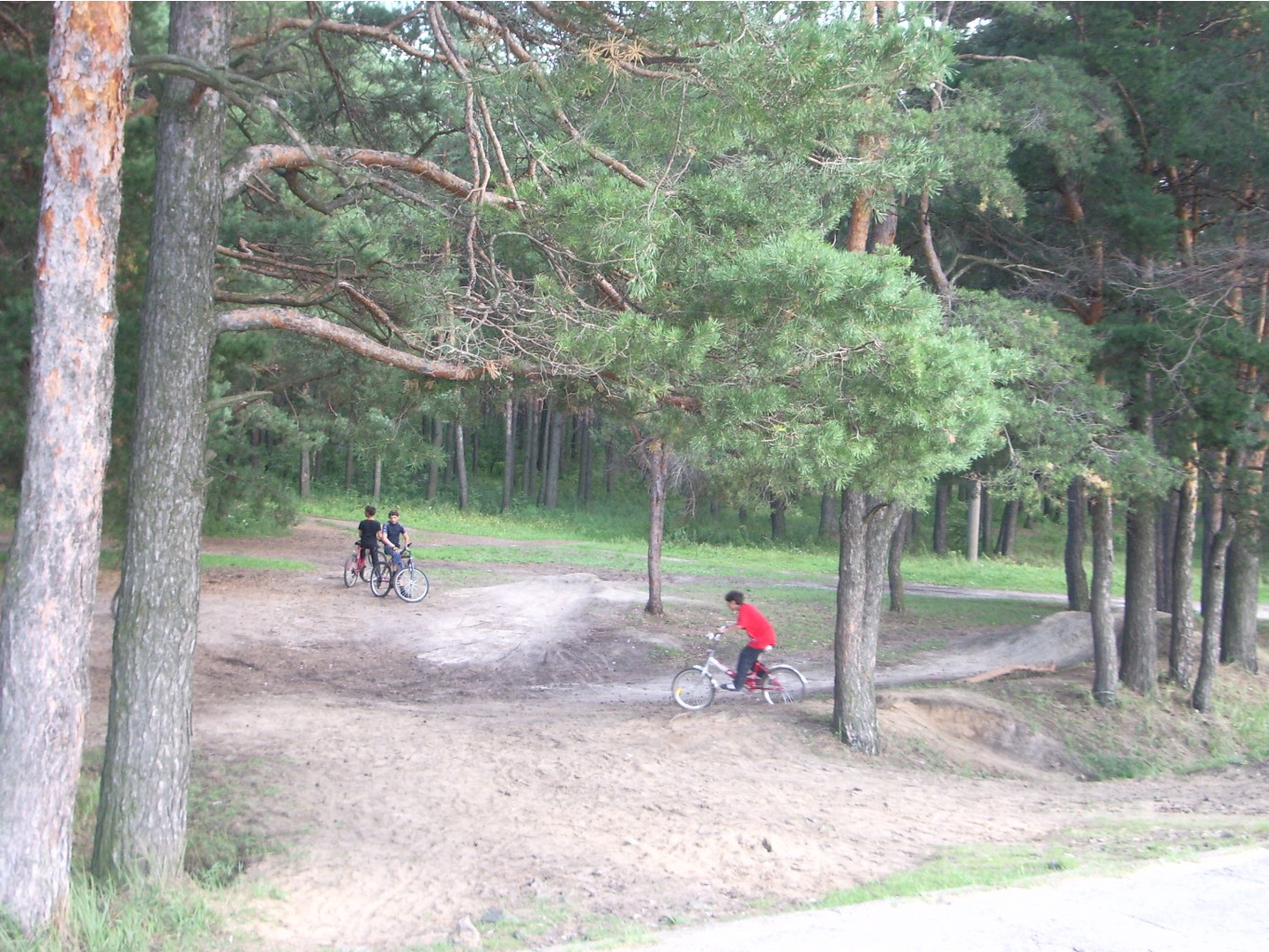 IMGP1288.JPG