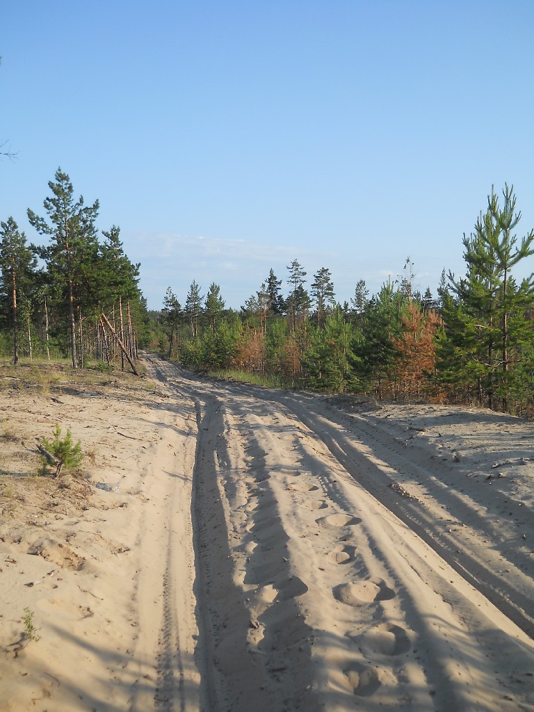 DSCN6409_copy.JPG