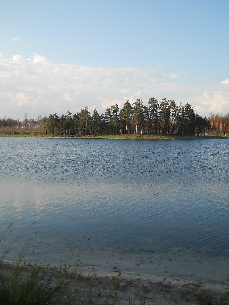 DSCN6412_copy.JPG