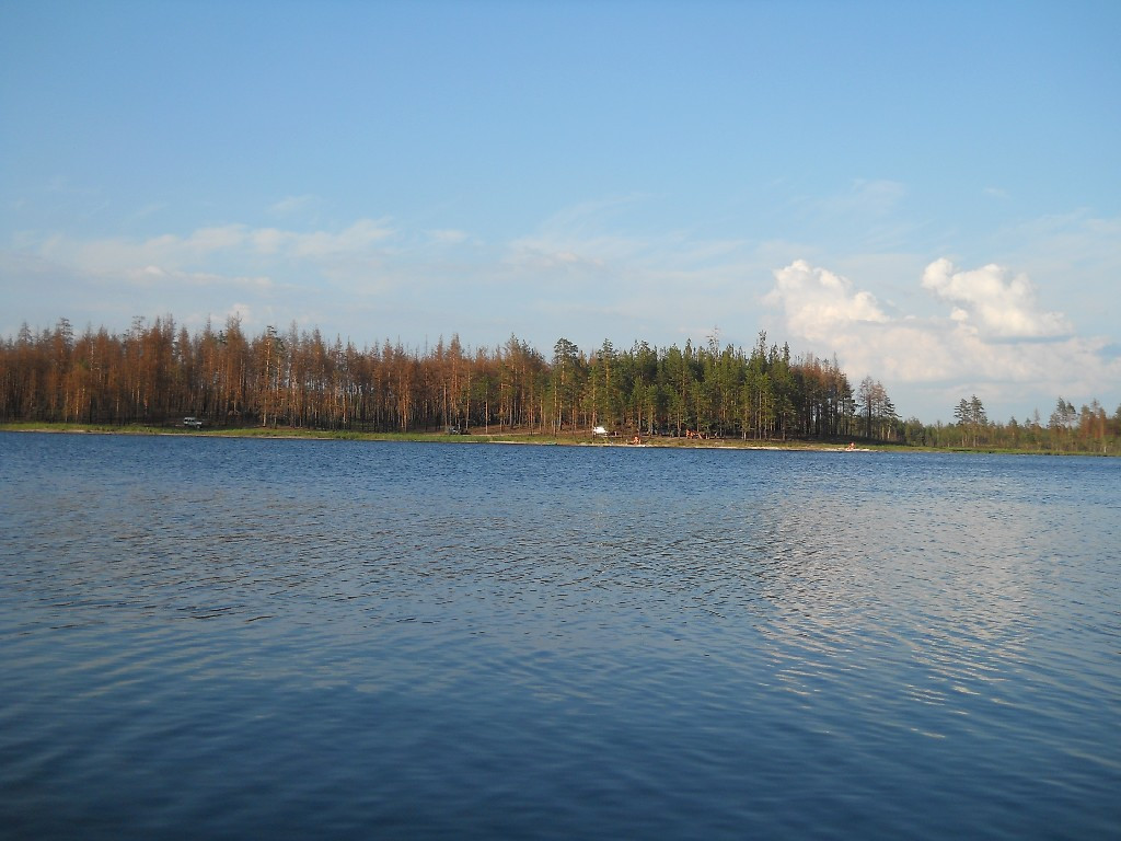 DSCN6417_copy.JPG