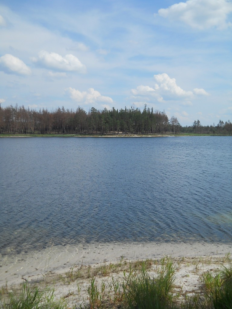 DSCN6432_copy.JPG