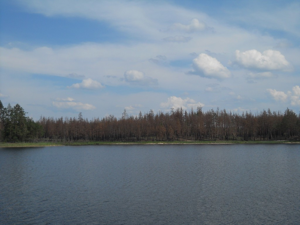 DSCN6435_copy.JPG