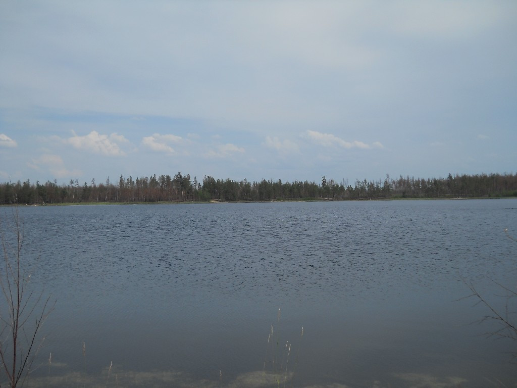 DSCN6439_copy.JPG
