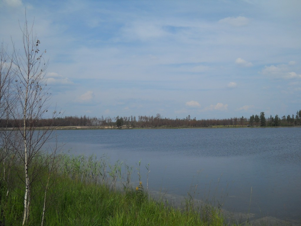 DSCN6443_copy.JPG