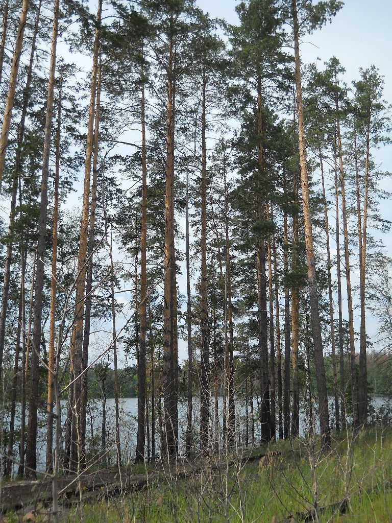 DSCN6448_copy.JPG