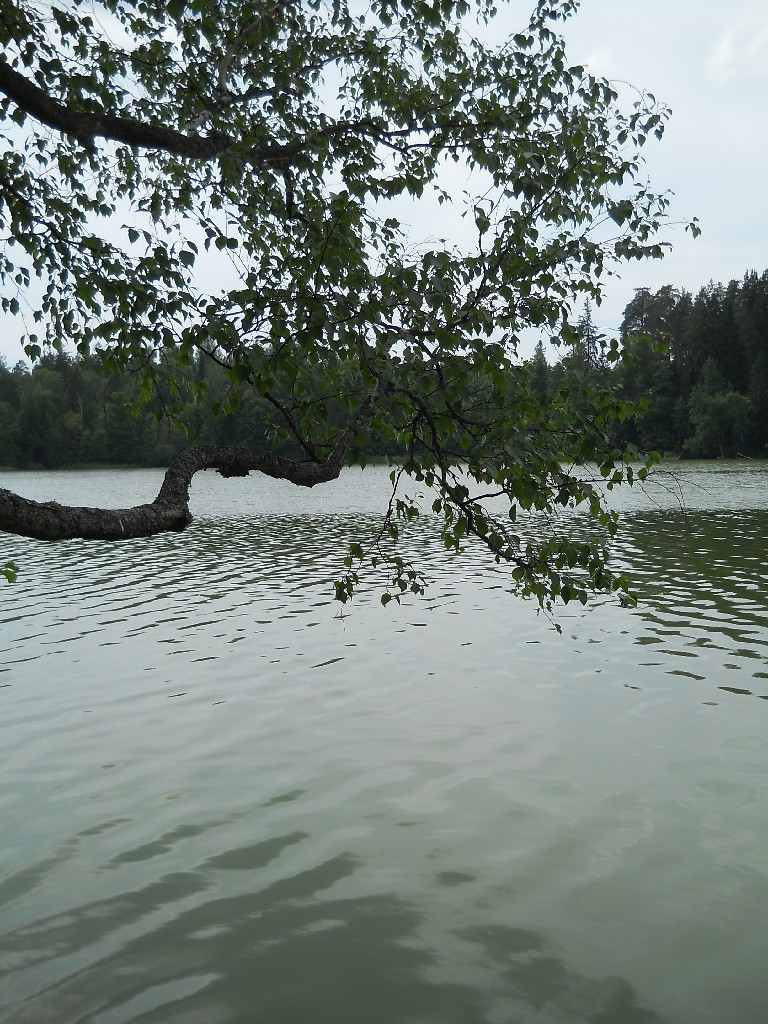 DSCN6460_copy.JPG