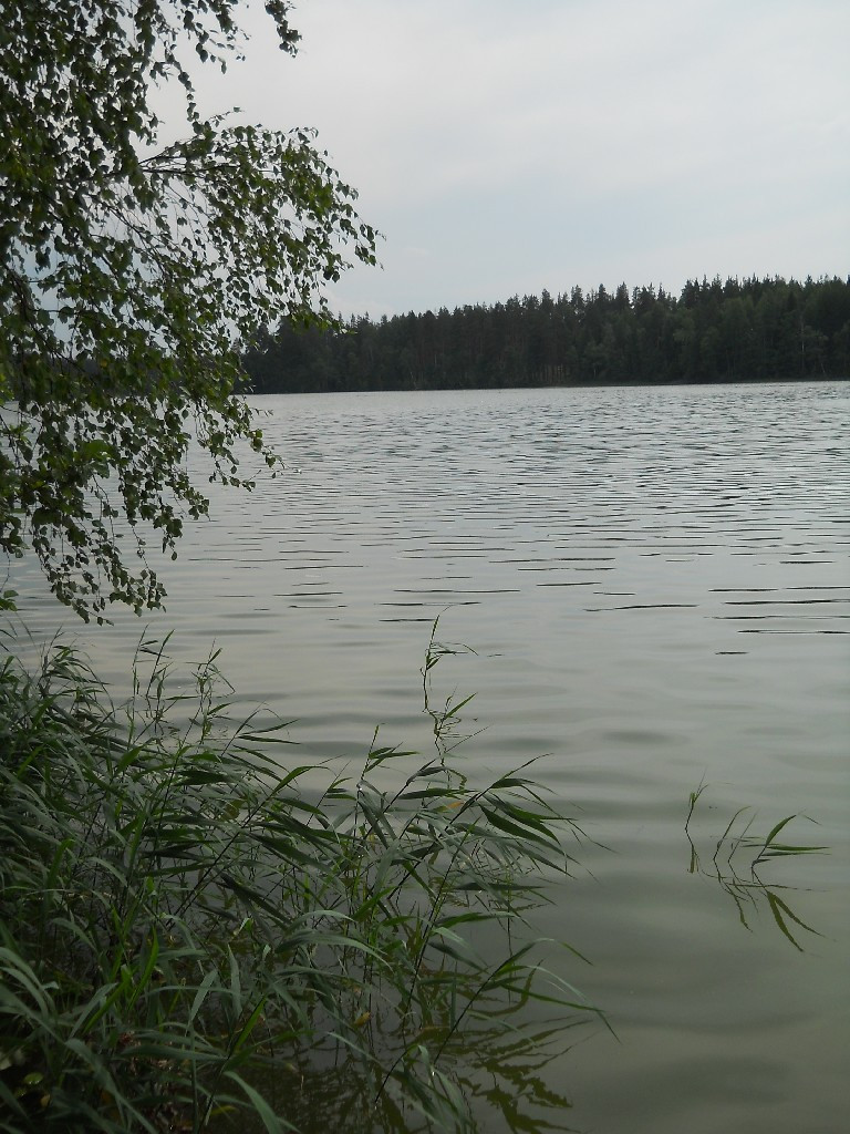 DSCN6464_copy.JPG