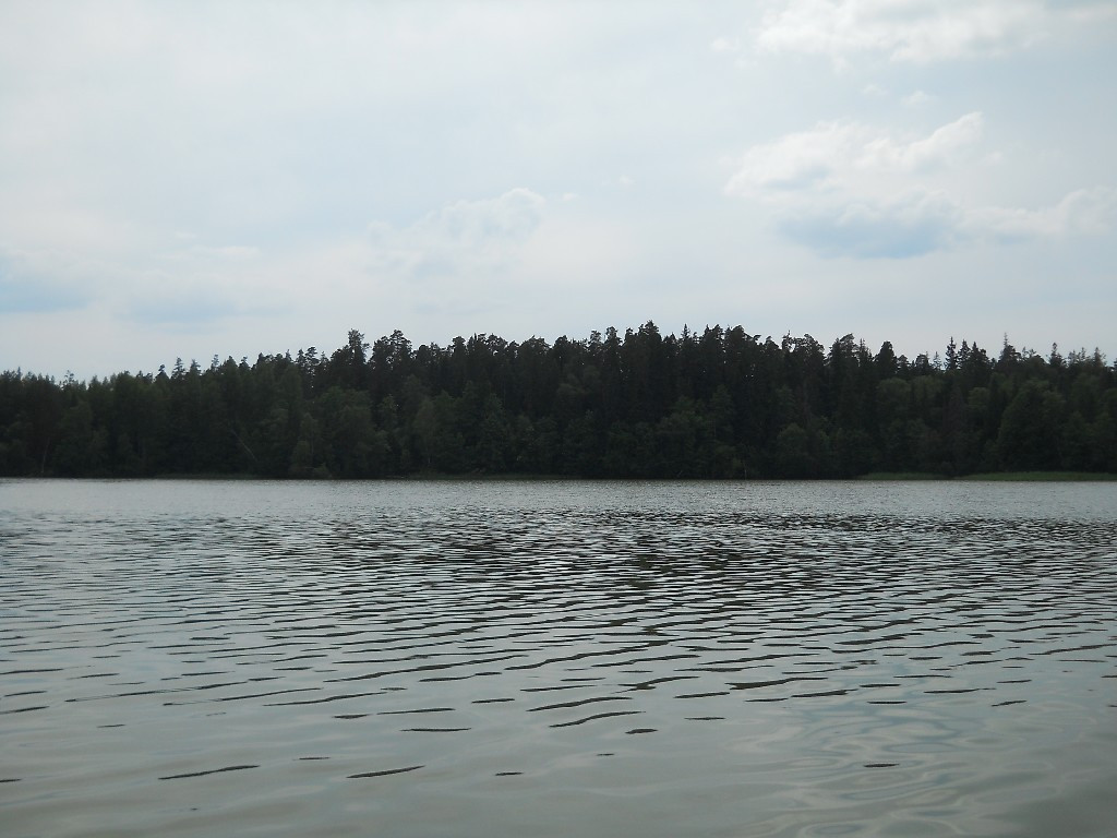 DSCN6465_copy.JPG