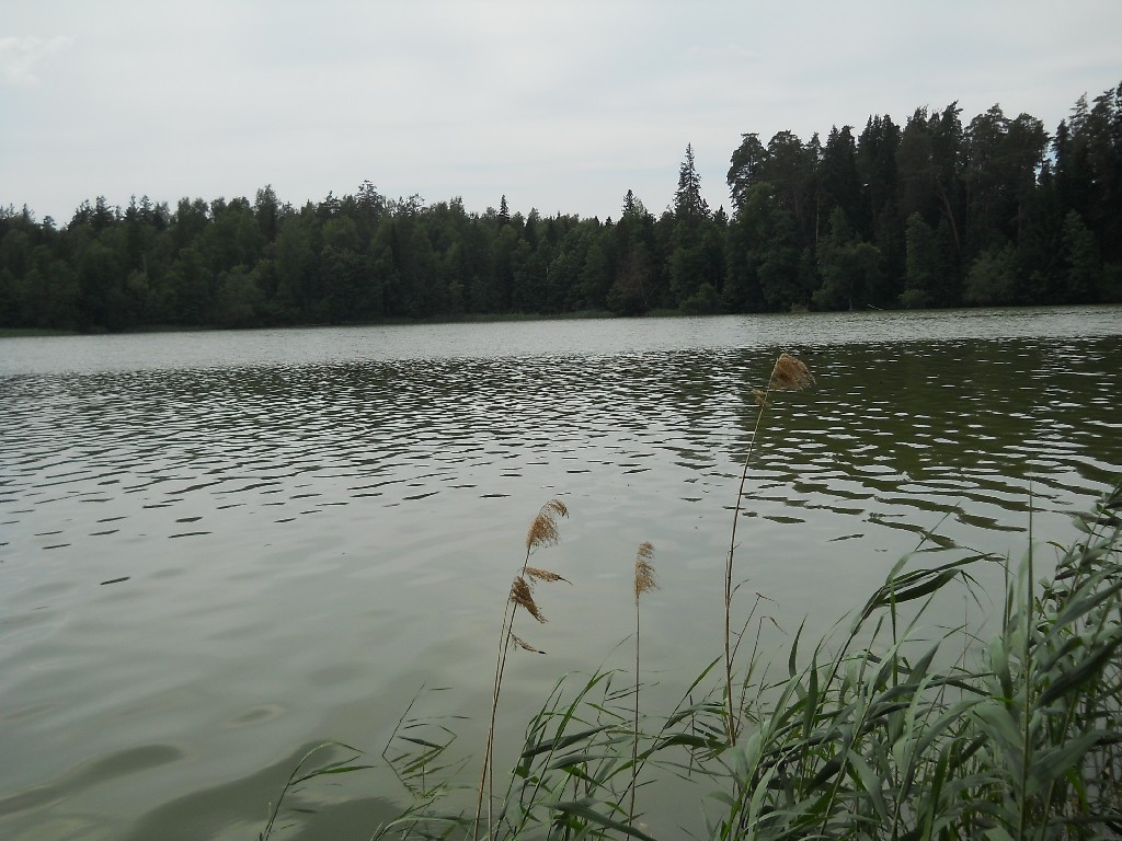 DSCN6466_copy.JPG