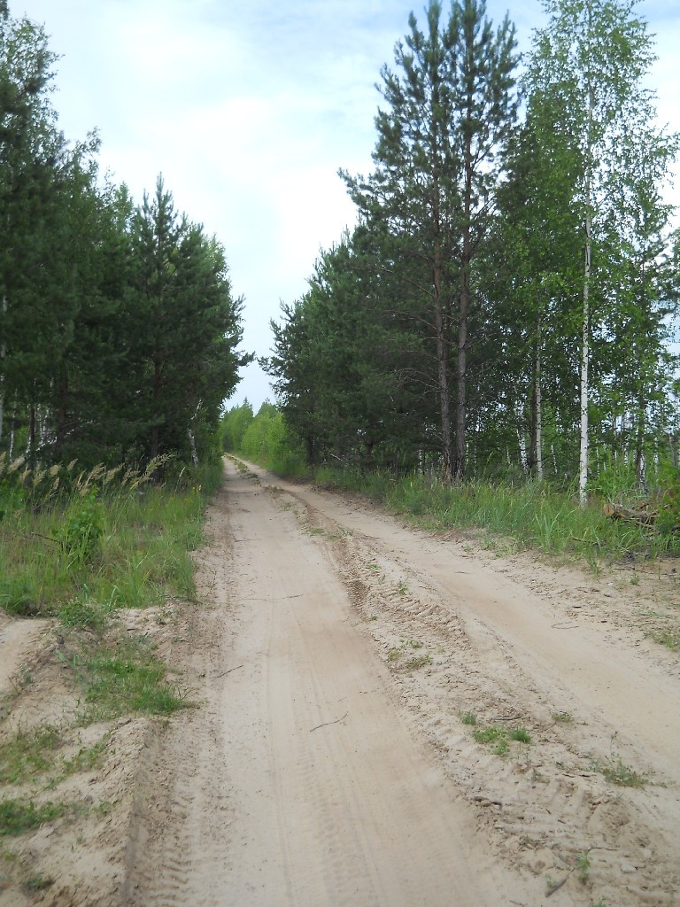 DSCN6482_copy.JPG