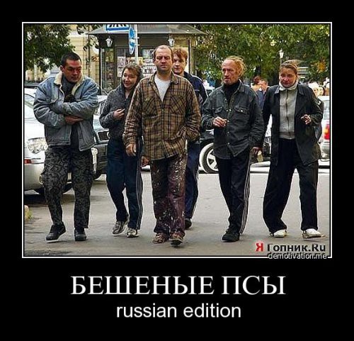 1300189254_015.jpg