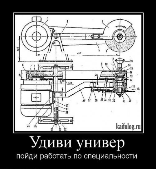 1300189273_019_2.jpg