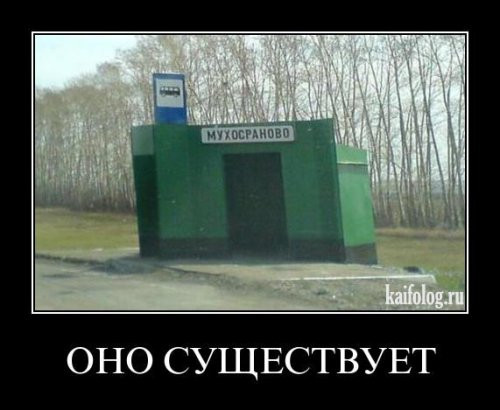 1300189279_035.jpg