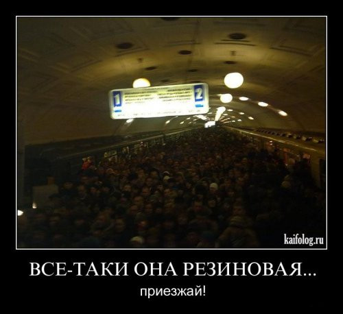1300189280_023.jpg