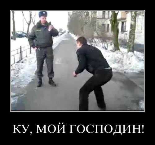 1300189310_025.jpg