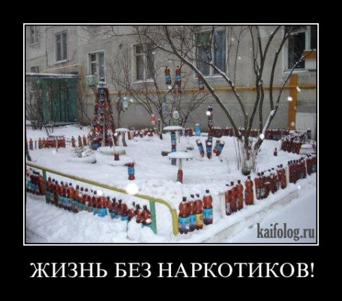 1300189325_020.jpg