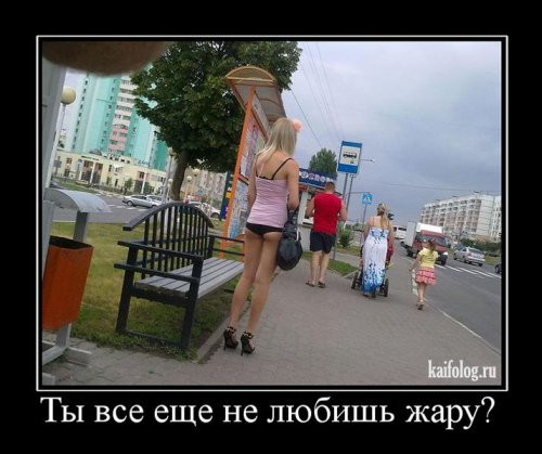 1309854C.jpg