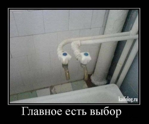 1309854Q.jpg