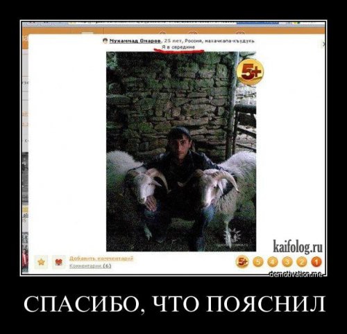 13098551.jpg