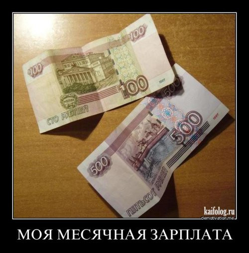 13098553.jpg