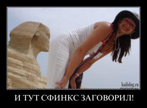dlet_h01.jpg
