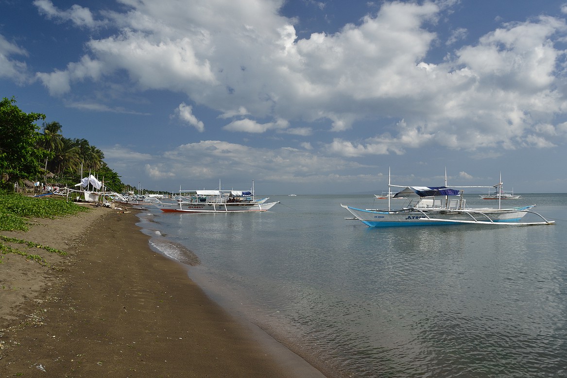 DSC_0387.jpg