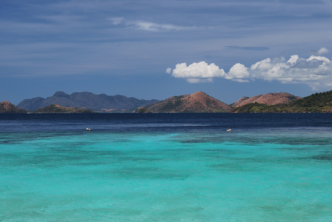 DSC_1260.jpg